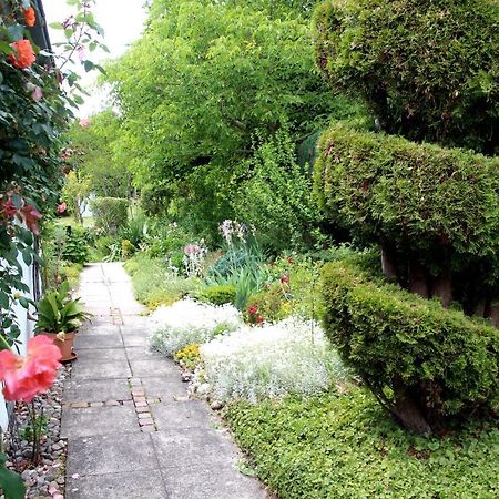 Wohnung Paradiso Busingen am Hochrhein Bagian luar foto