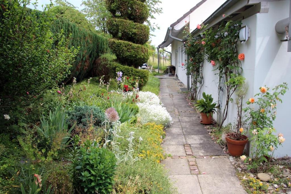 Wohnung Paradiso Busingen am Hochrhein Bagian luar foto