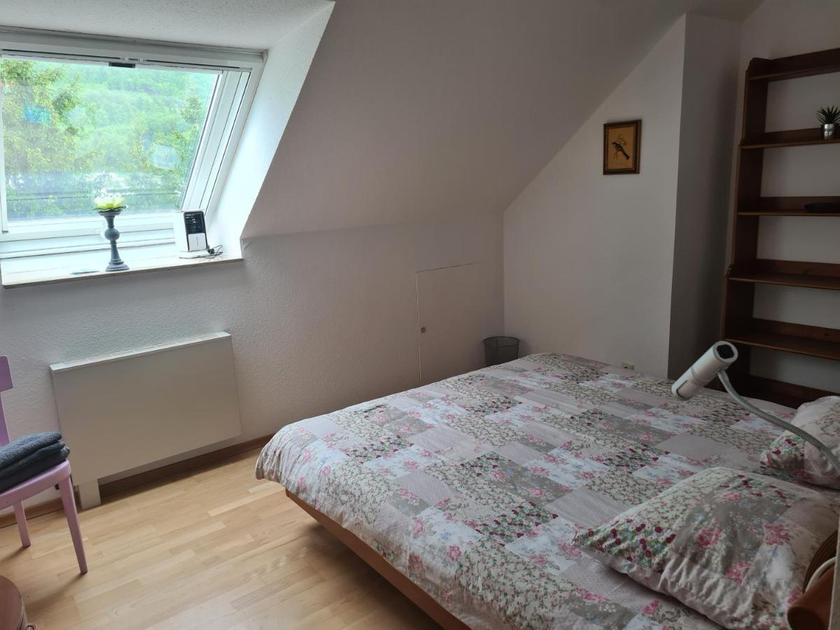 Wohnung Paradiso Busingen am Hochrhein Bagian luar foto